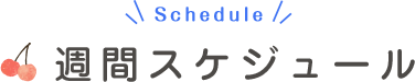 週間スケジュール