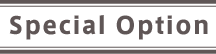 Special Option